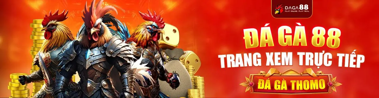 Đá gà trực tuyến kịch tính tại Solarbet trang chủ