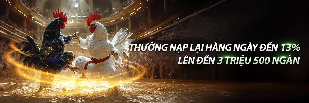 VIP Câu Lạc Bộ Solarbet – Ưu Đãi Độc Quyền